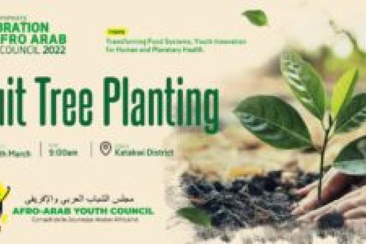 tree planting